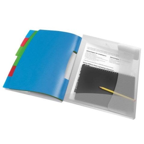 Teczka z przegródkami Vivida A4 kolor: mix 6 przegródek Esselte (624029) Teczka z przegródkami Vivida A4 kolor: mix 6 przegródek Esselte (624029)