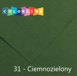 Brystol Colorline 31 zielony ciemny 150g 10k [mm:] 500x650 Canson (31074S056)