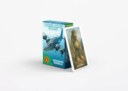 Karty Piotruś Brainrot Bombardiro Crocodillo Alexander 25 sztuk