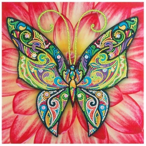 Mozaika mozaika diamentowa motyl 30x30cm Grafix (2430) Mozaika mozaika diamentowa motyl 30x30cm Grafix (2430)
