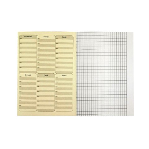 Zeszyt A5 16k. 80g linia Rexus (605431) Zeszyt A5 16k. 80g linia Rexus (605431)