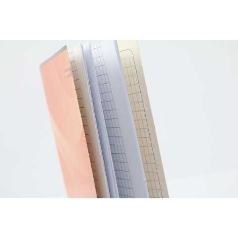 Zeszyt A5 16k. 80g linia Rexus (605431) Zeszyt A5 16k. 80g linia Rexus (605431)