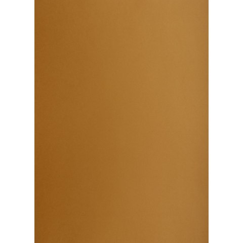 Brystol brązowy A1 brązowy 160g 25k [mm:] 610x860 TOP-2000 (400149528)