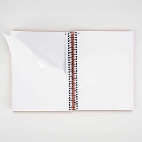 Kołozeszyt (kołonotatnik) 1918 beżowy A5 80k. 95g gładka Milan (57151E80BG)