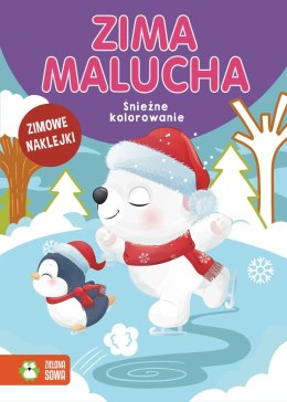Książeczka edukacyjna Zima malucha. Śnieżne kolorowanie Zielona Sowa