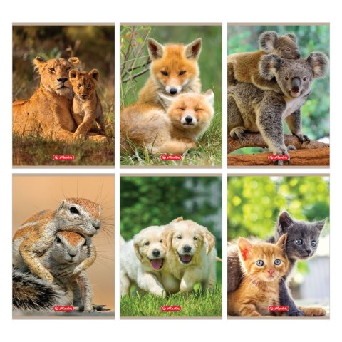 Zeszyt Animals 9583063 A5 32k. 70g krata Herlitz (400197968) Zeszyt Animals 9583063 A5 32k. 70g krata Herlitz (400197968)