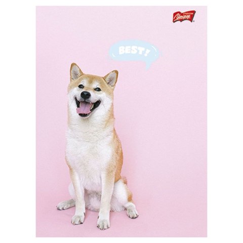 Zeszyt Mix A5 32k. linia [mm:] 148x210 Unipap