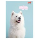 Zeszyt Mix A5 32k. linia [mm:] 148x210 Unipap