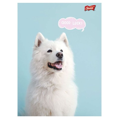 Zeszyt Mix A5 32k. linia [mm:] 148x210 Unipap