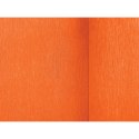Bibuła krepina mix 500mm x 2000mm Interdruk (BIKW117)