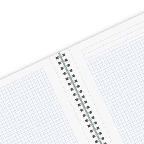 Kołobrulion ECO COLORS 9501452 A4 80k. kratka Herlitz (400198742)