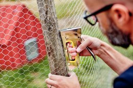 Zszywki Rapid (11835600)