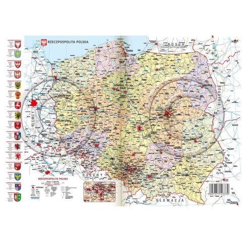 Kalendarz książkowy (terminarz) WYCINANKA B6 Lucrum (41DS)