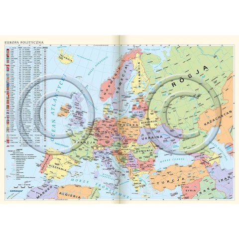 Kalendarz książkowy (terminarz) WYCINANKA B6 Lucrum (41DS)