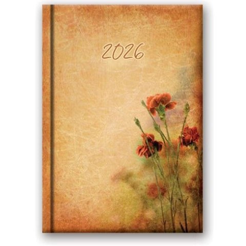 Kalendarz książkowy (terminarz) WYCINANKA B6 Lucrum (41DS)