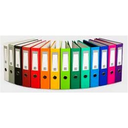 Segregator dźwigniowy 50 mm FCK A4 50mm biały VauPe (052/07)