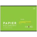 Zeszyt papierów kolorowych B&B KIDS A4/10 5902277328632 A4 115g 10k Interdruk (115g)