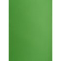 Brystol A1 zielony 160g 25k [mm:] 610x860 Creatinio (400149559)