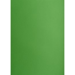 Brystol ZIELONY B2 Zielony 225g 25k Creatinio (400150338)