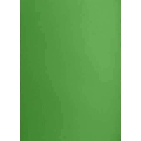 Brystol ZIELONY B2 Zielony 225g 25k Creatinio (400150338) Brystol ZIELONY B2 Zielony 225g 25k Creatinio (400150338)