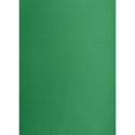 Brystol zielony ciemny B2 zielony 225g 25k Creatinio (400150339)
