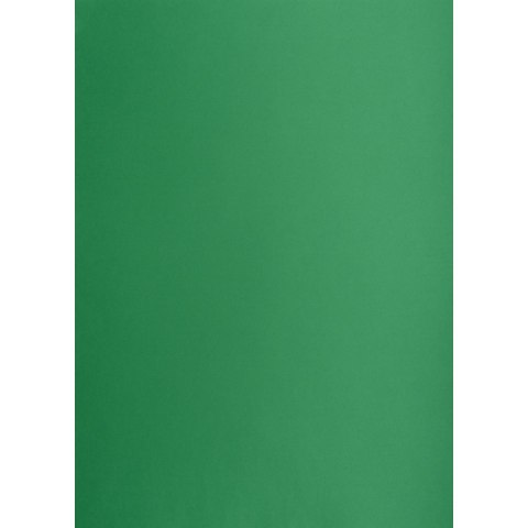 Brystol zielony ciemny B2 zielony 225g 25k Creatinio (400150339) Brystol zielony ciemny B2 zielony 225g 25k Creatinio (400150339)