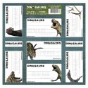 Naklejka na zeszyt Dinozaur [mm:] 160x160 Derform (NNZDN)