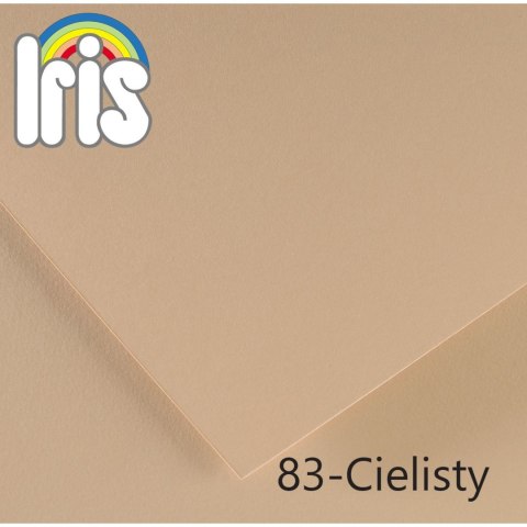 Brystol Iris Canson (400108016)