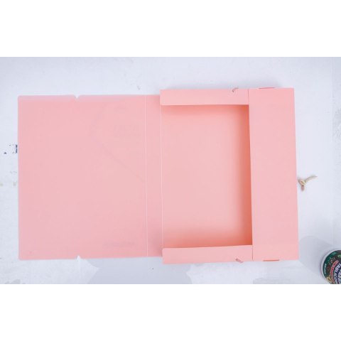 Teczka plastikowa na gumkę PP PASTEL LINE A4 mix Astrapap (113024005) Teczka plastikowa na gumkę PP PASTEL LINE A4 mix Astrapap (113024005)