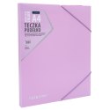 Teczka plastikowa na gumkę PP PASTEL LINE A4 mix Astrapap (113024005) Teczka plastikowa na gumkę PP PASTEL LINE A4 mix Astrapap (113024005)