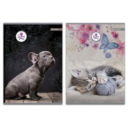 Zeszyt The Sweet Pets A4 60k. 70g [mm:] 206x294 Beniamin (608633)