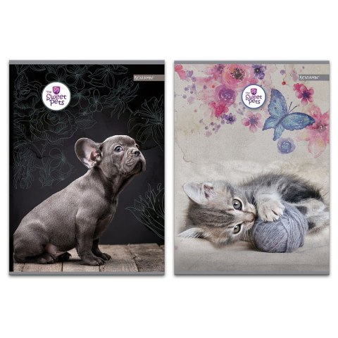 Zeszyt The Sweet Pets A4 60k. 70g [mm:] 206x294 Beniamin (608633)