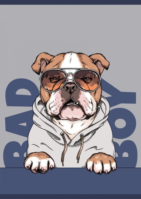 Zeszyt A5 32k. 70g trzy linie Gimboo (16253371-99)