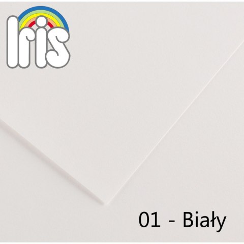 Brystol IRIS biały 185g 25k [mm:] 500x650 Canson (200040218)