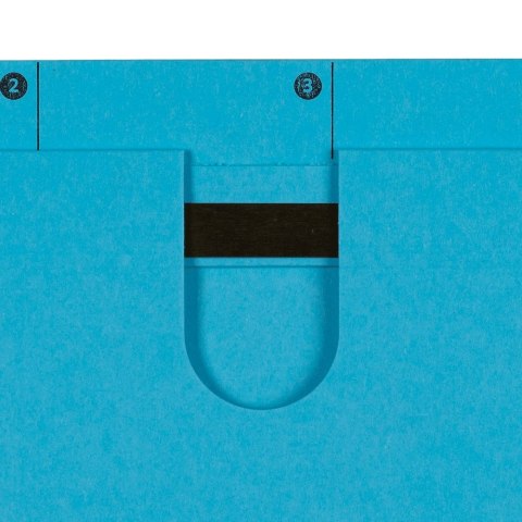 Skoroszyt Chic Ultimate wiszący A4 niebieski karton 230g Elba (100552091)