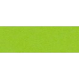 Papier kolorowy Joy A4 zielony jasny 160g Happy Color (2130-50)