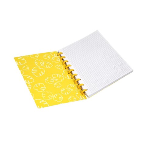 Kołobrulion Stitch Patio (91514PTR)