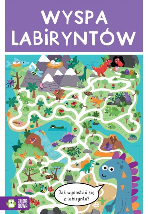 Książeczka edukacyjna Wyspa labiryntów Zielona Sowa Książeczka edukacyjna Wyspa labiryntów Zielona Sowa