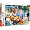 Puzzle Psy w ogrodzie 1000 el. Trefl (10556)