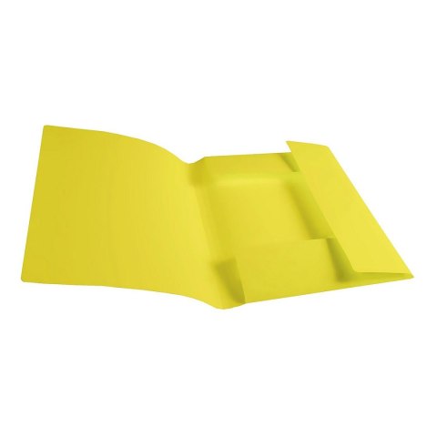 Teczka plastikowa na gumkę A4 przezroczysty Biurfol (TG-12) Teczka plastikowa na gumkę A4 przezroczysty Biurfol (TG-12)