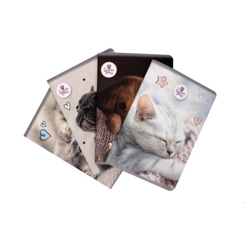 Zeszyt THE SWEET PETS Beniamin (2603) Zeszyt THE SWEET PETS Beniamin (2603)