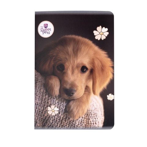 Zeszyt THE SWEET PETS Beniamin (2603) Zeszyt THE SWEET PETS Beniamin (2603)