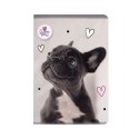 Zeszyt THE SWEET PETS Beniamin (2603) Zeszyt THE SWEET PETS Beniamin (2603)