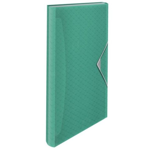 Teczka z przegródkami Colour Breeze A4 kolor: zielony 6 przegródek Esselte (626253) Teczka z przegródkami Colour Breeze A4 kolor: zielony 6 przegródek Esselte (626253)