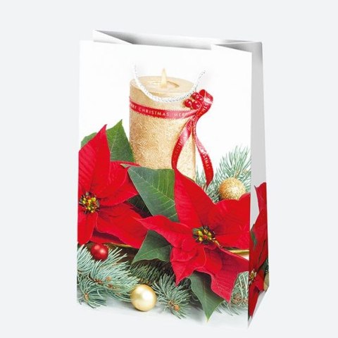 Torba prezentowa [mm:] 100x160x 60 Pol-mak