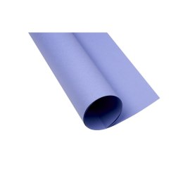 Brystol purpurowy B2 purpurowy 225g 50k Creatinio (400150341)