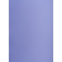 Brystol purpurowy B2 purpurowy 225g 50k Creatinio (400150341)