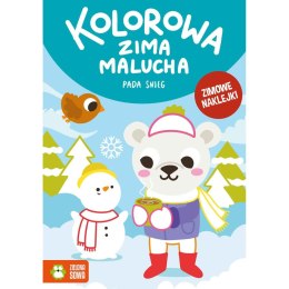 Książeczka edukacyjna Kolorowa zima malucha.Pada snieg. Zielona Sowa