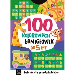 Książka dla dzieci 100 kolorowych łamigłówek. Zadania dla przedszkolaków. Od 5 lat Aksjomat