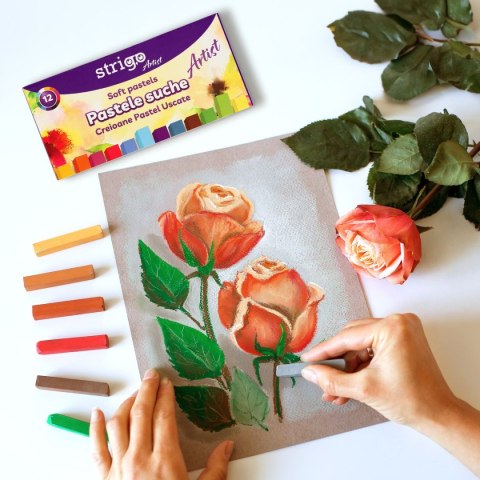 Pastele suche 12 kol 12 kol. Strigo (SSC397)